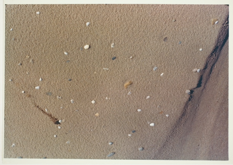 Fruity Pebbles Demi: A Fascinating Twist on a Classic into the Modern World