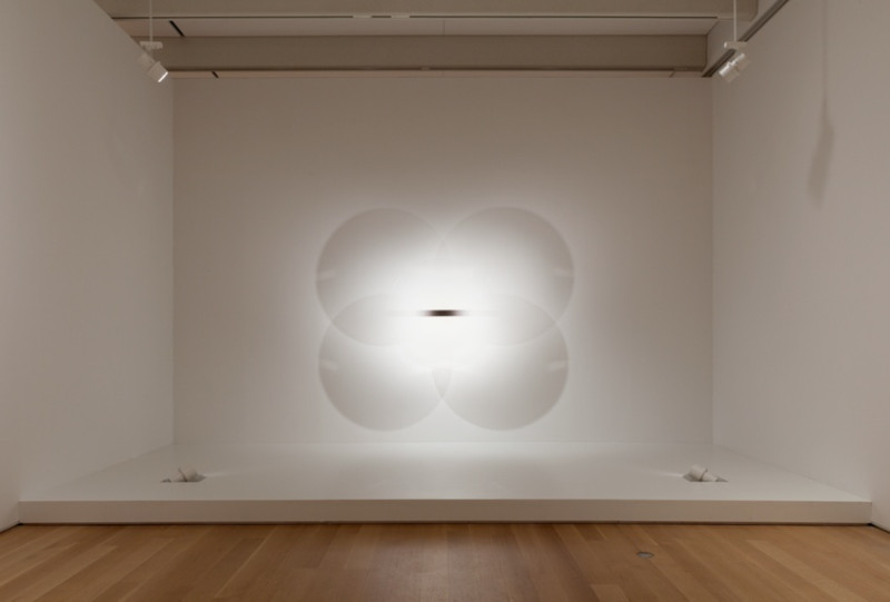 Robert Irwin: Age, Relationship Status, and More