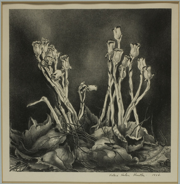 Victoria Cast: A Closer Look at the Iconic Series on Netflix