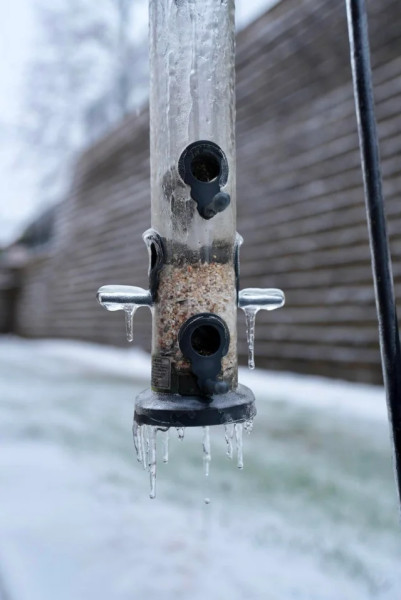 The Aftermath of Winter Storm Fern: Nashville Shivers Under Record-Breaking Ice