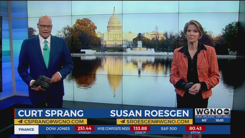Louis Armstrong New Orleans International Airport Faces Long Lines Due to Government Shutdown