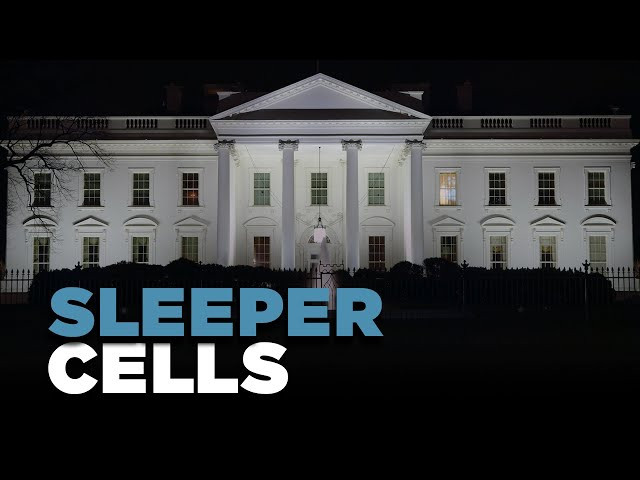 Unveiling the Enigma of Sleeper Cells