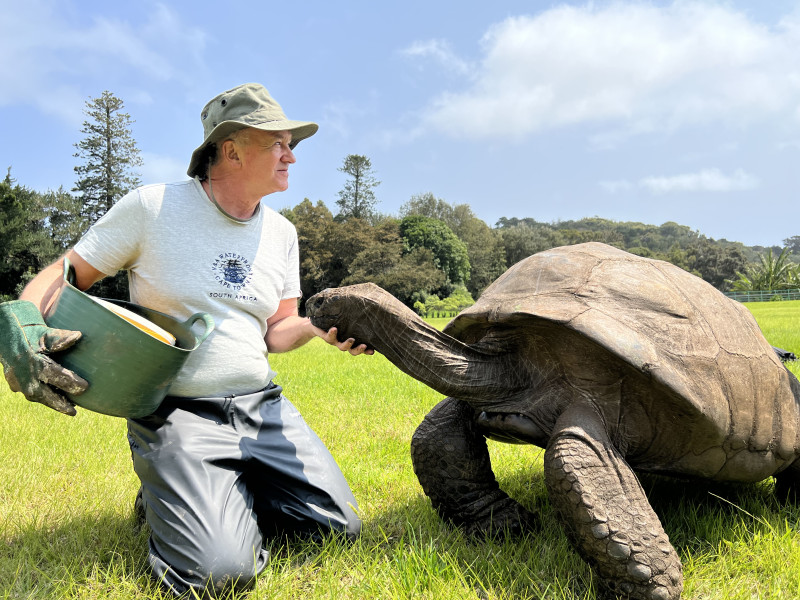 Jonathan the Tortoise: A Legacy of Longevity and Loss