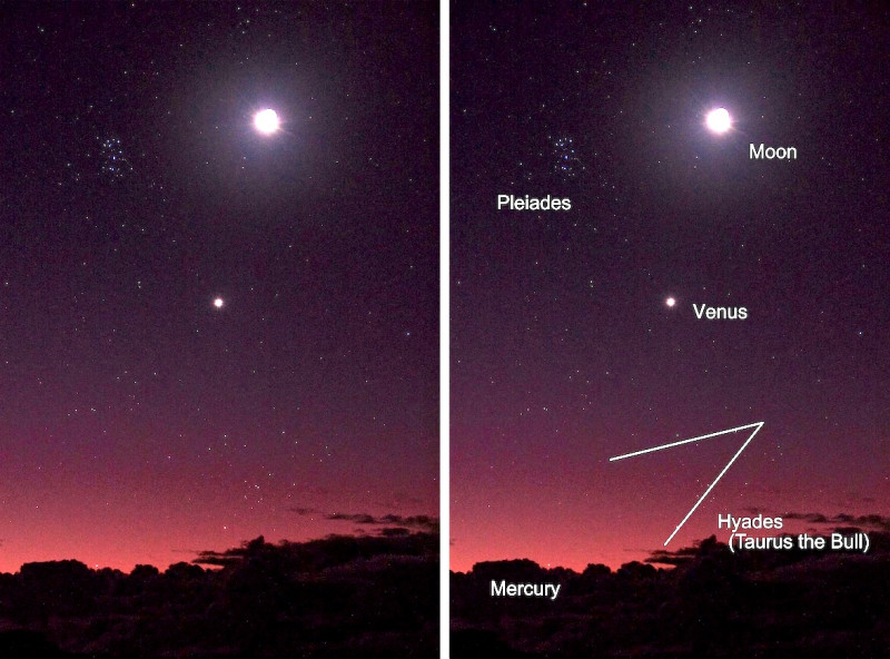 The Moon Tonight: A Celestial Dance with Venus and the Pleiades