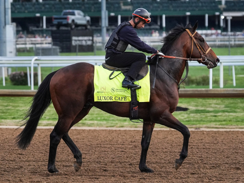 Mystery at the Derby: Why Was Luxor Cafe’s Rival Pulled at the Last Minute?