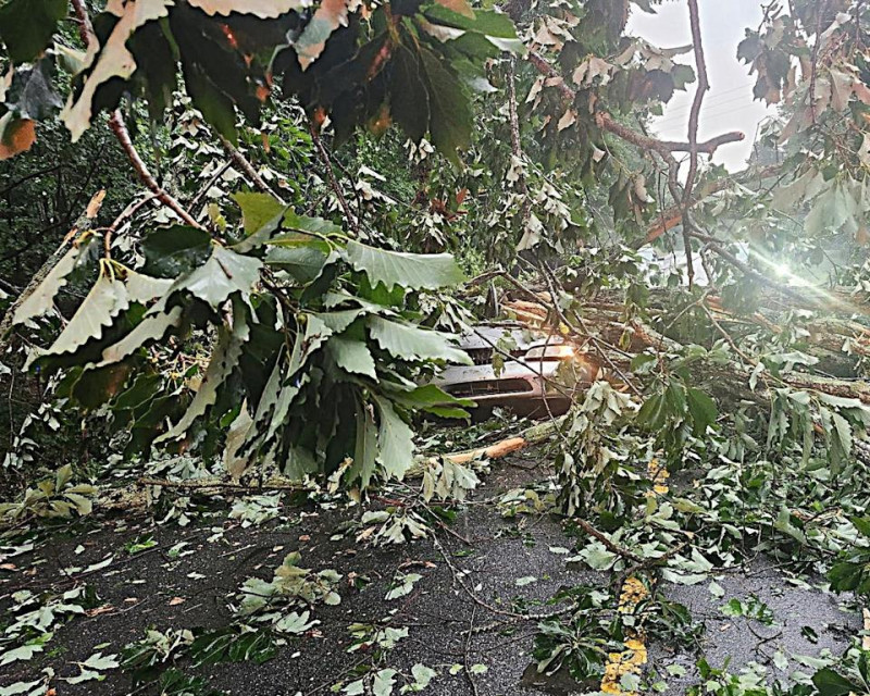 Georgia Power Outage: Why Thousands Lost Power Across Northeast Georgia This Weekend