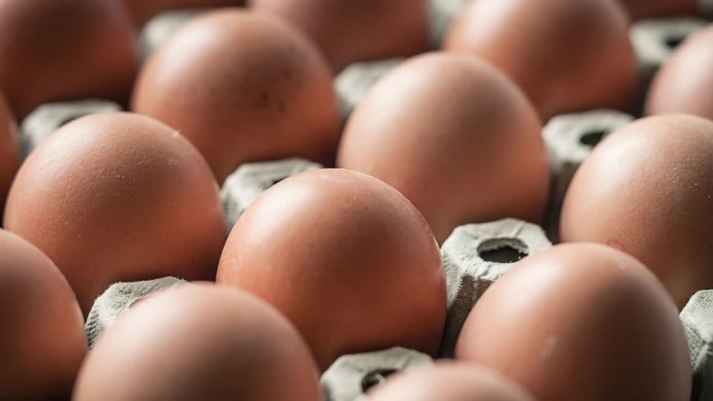 Massive Egg Recall Hits 9 States—Is Your Breakfast at Risk?