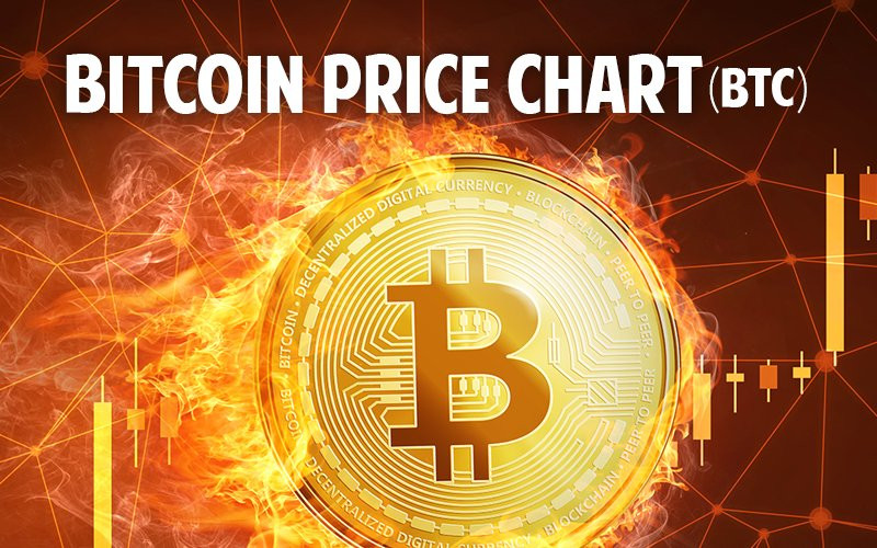 The Latest on Bitcoin (BTC) Price in 2025: Market Trends and Analysis