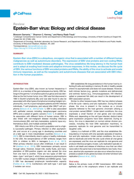 The Epstein-Barr Virus: A Common Concern at Stanford