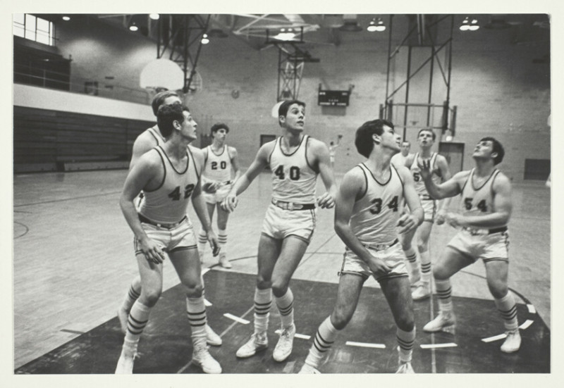 The Florida Gators Basketball Dominate the Court in 2025