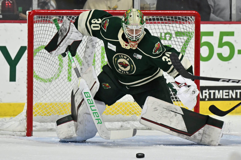 Jackson Blake and the Wild's Emerging Stars: Jesper Wallstedt and Matt Boldy