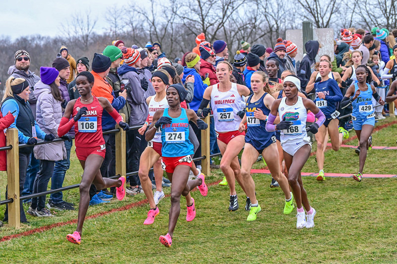2025 NCAA Cross Country Championships: A Thrilling Showdown in Columbia
