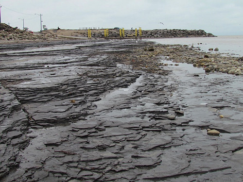 Lake Erie Seiche: A Rare Phenomenon Unfolds