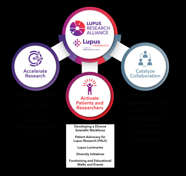 Stanford's Lupus Research Takes a Grim Turn