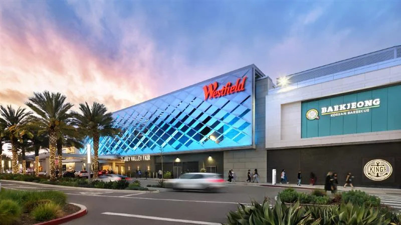 Chaos and Fear: The Black Friday Shooting at Westfield Valley Fair Mall