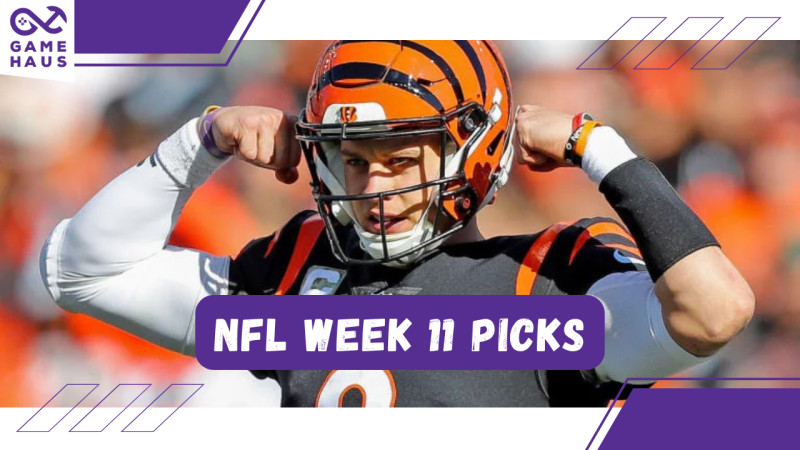 Week 11 Fantasy Rankings and NFL Picks Against the Spread