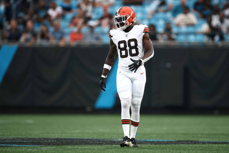 The Cleveland Browns' 2025-2026 Season and the Impact of Harold Fannin Jr.