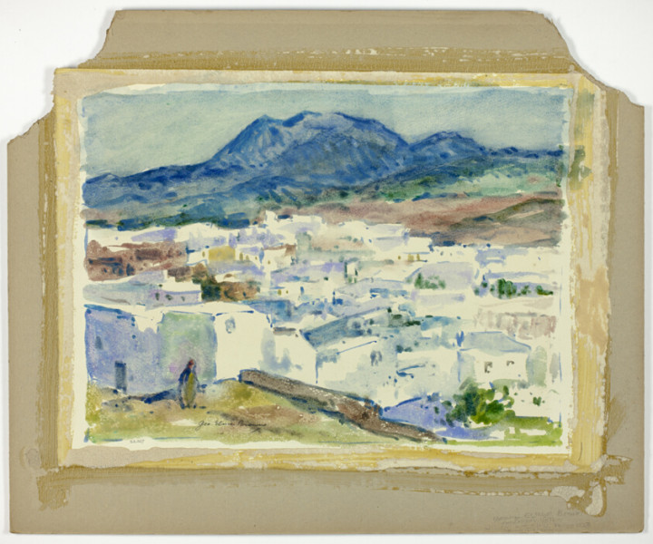 Buffalo Bills vs. Cleveland Browns: A Hard-Fought Victory for the Bills