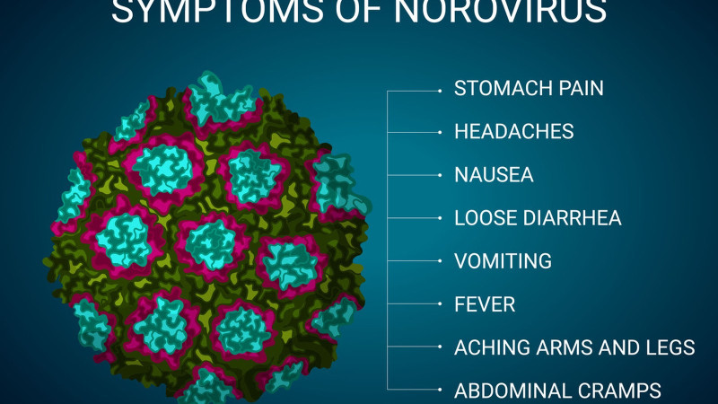 Navigating 2025: A Comprehensive Look at COVID Symptoms, Norovirus, and Stomach Bugs