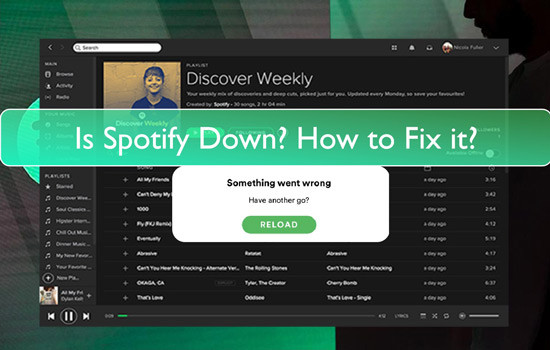Is Spotify Down? Real-time Status and User Reports