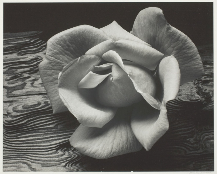 Flash Floods and Mudslides Devastate Wrightwood: A Christmas Storm Crisis in Southern California