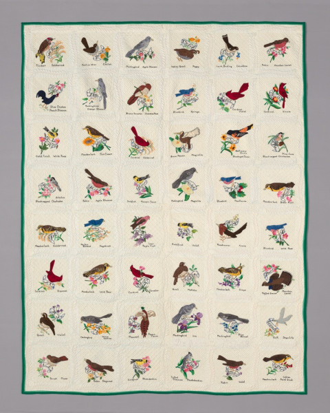 Houston Rockets vs. New Orleans Pelicans: A Tale of Two Teams