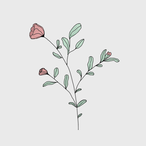 Celebrating the Magic: The 2026 Rose Parade Comes Alive with Earvin "Magic" Johnson