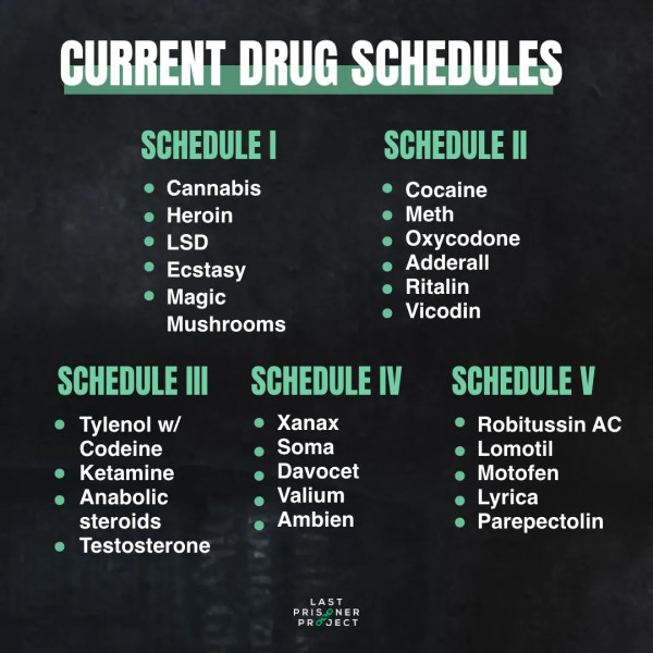 Schedule 3 Drugs and the Latest Developments in Drug Reclassification