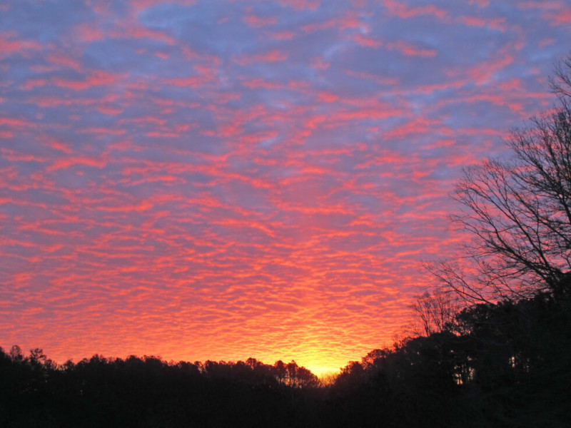 The Winter Solstice 2025: Everything You Need to Know About the Shortest Day of the Year