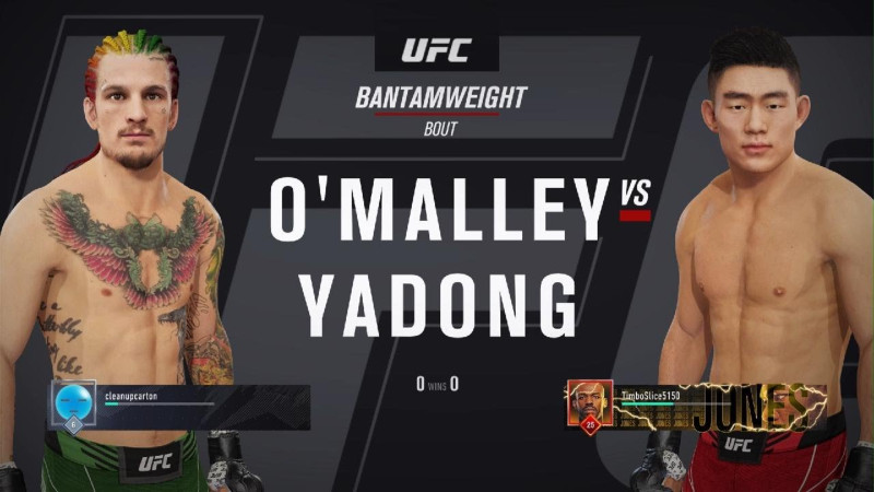 The Rise of Song Yadong: A New Era in Mixed Martial Arts