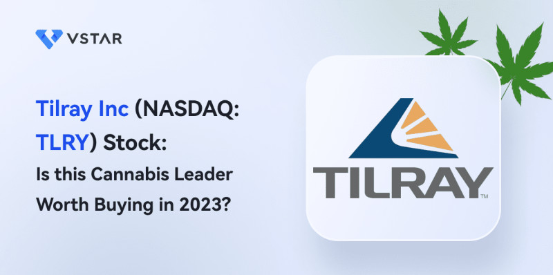 Tilray Stock: Navigating the Volatility in 2025