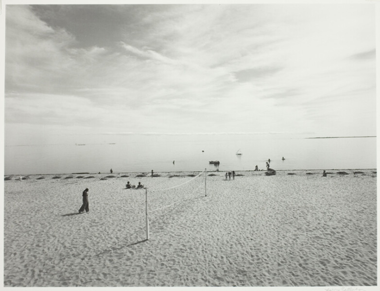 Wisconsin Volleyball: A Thrilling Final Four Exit