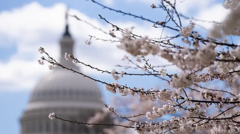Blizzard Warning: Navigating Today's Winter Storm Conditions