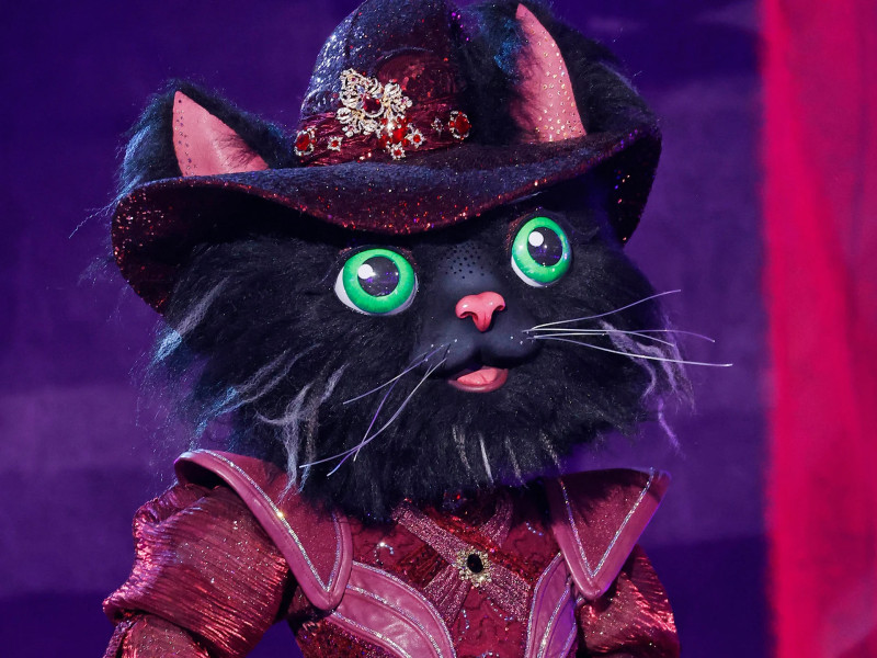 The Masked Singer 2026: A Thrilling Start to Season 14