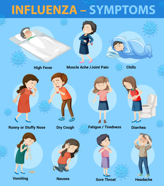 Understanding the Flu: Symptoms, Causes, and Treatment