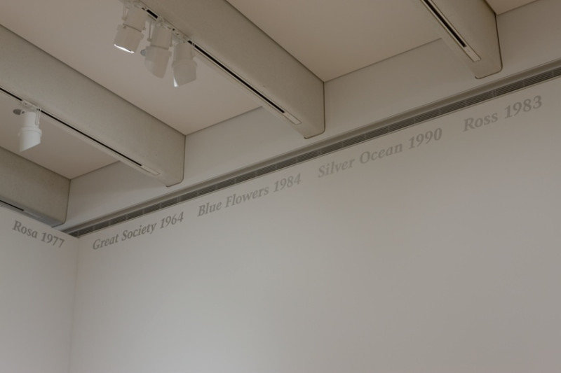 TJ Finley's Journey to Incarnate Word in 2026