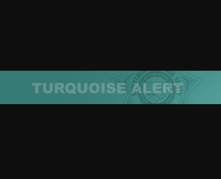 Decoding the Turquoise Alert: A Critical Tool in Public Safety