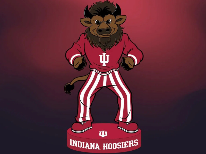 University of Indiana: The Return of the Bison Mascot and its Impact on Football