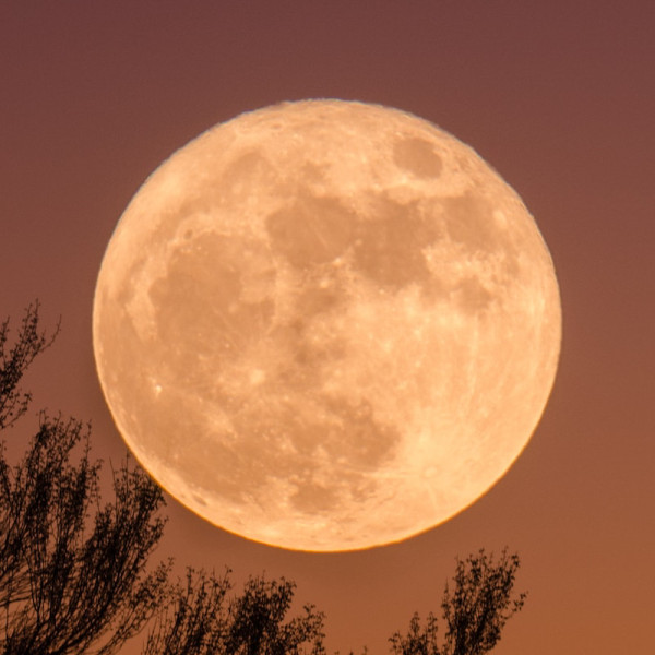 When Is the Full Moon in 2026?