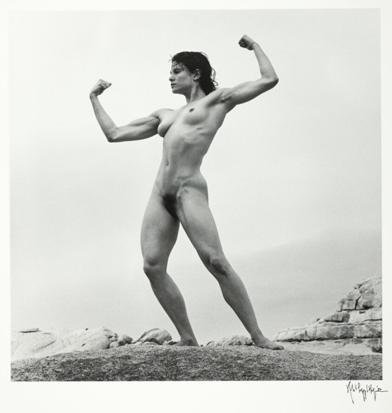 Le Havre's Defiance to Lyon's Dominance