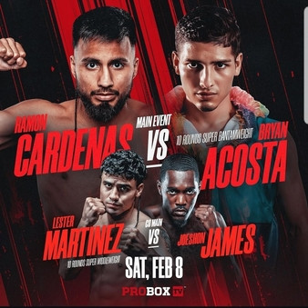 Lester Martinez Fight: A Battle for Supremacy