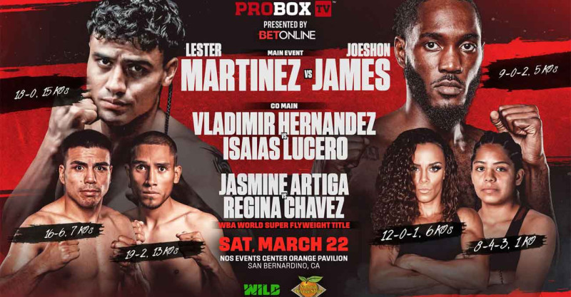 Lester Martinez vs Immanuwel Aleem: Boxing Battle Royal