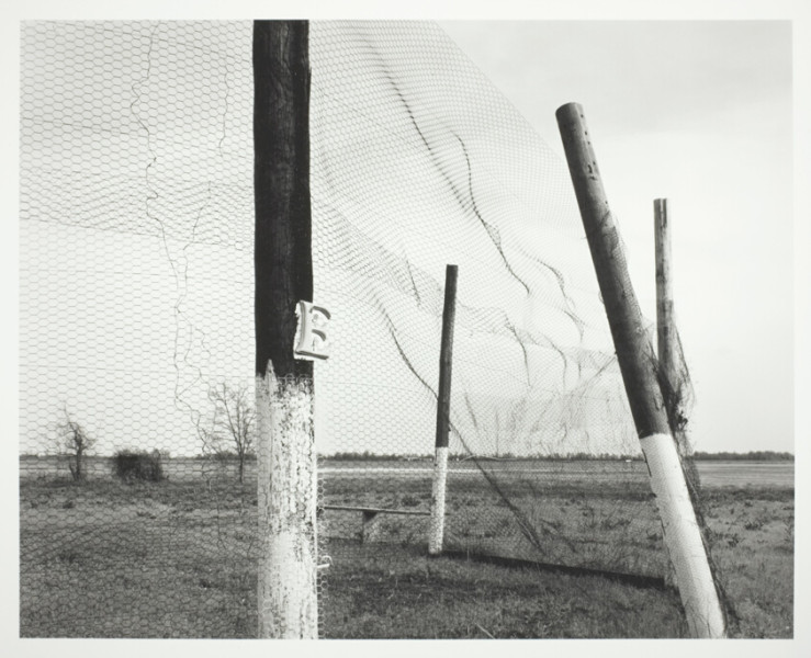 Mississippi State Baseball Dominates, Defeats Ole Miss 5-4