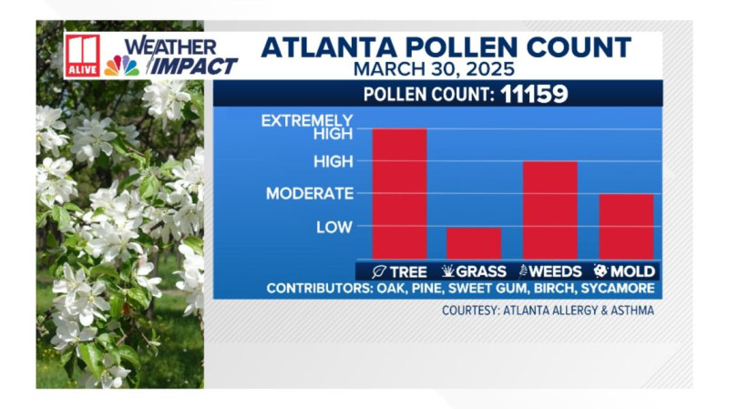 Atlanta’s Pollen Count Today: Unprecedented Levels of Pollen Alert for Allergy Sufferers