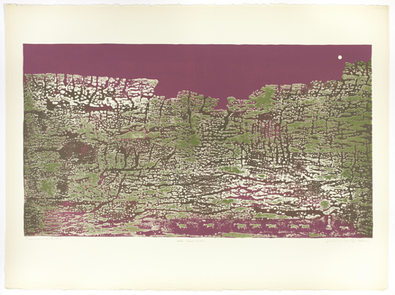 Rachel McAdams: A Star Who Defies Convention and Captivates Hearts