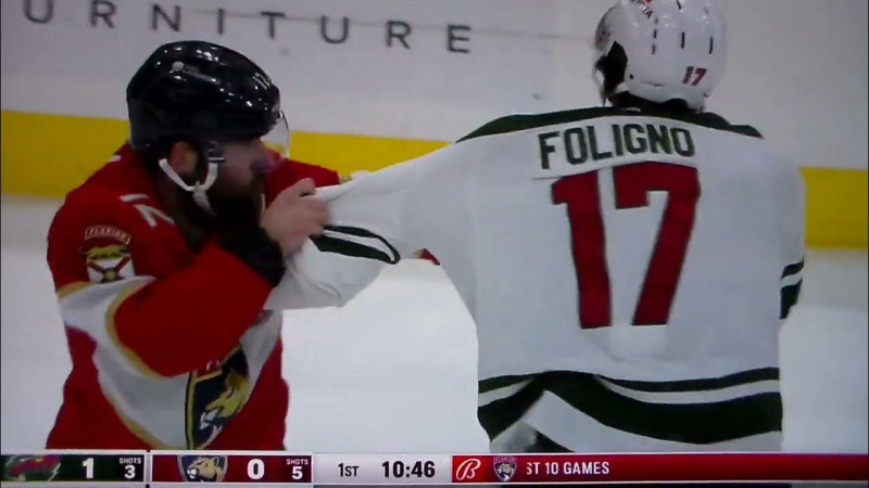 Wild vs Panthers: A Look at the Minnesota Wild's Momentous Season