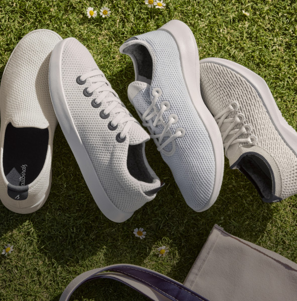 Allbirds: Shoes, Stock, and the Future