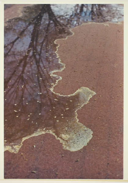 April Fools Memes: The Internet's Annual Prank Party