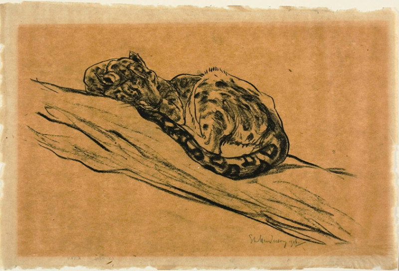 Brandon Lowe Ties the Knot with Baltimore Orioles' Gunnar Henderson and Paul Goldschmidt in the 2026 Season