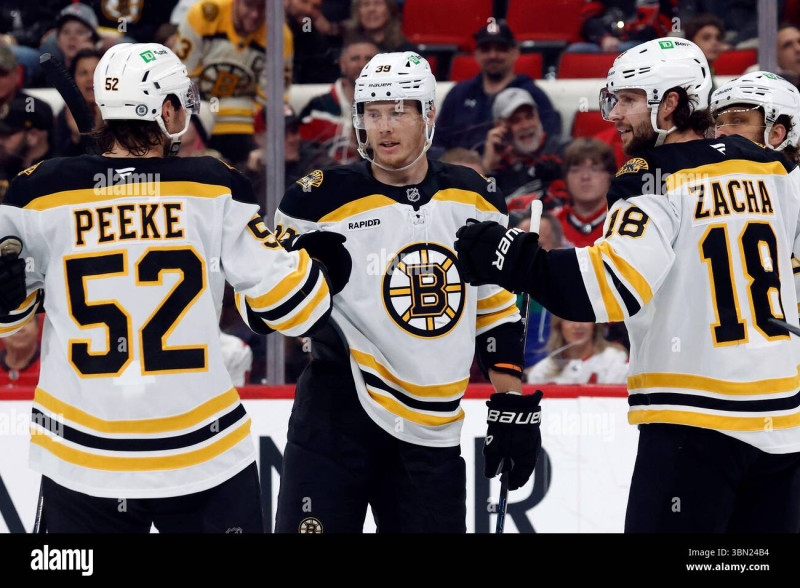 Bruins vs Hurricanes: The Intensifying Rivalry on Ice
